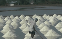 ชาวนาเกลือ เรียกร้องรัฐอุ้มราคาเกลือ