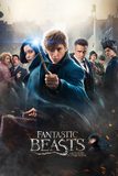 Fantastic Beasts and Where to Find Them สัตว์มหัศจรรย์และถิ่นที่อยู่