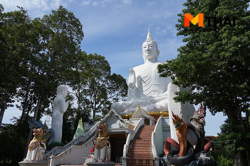 วัดไม้รวก