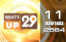 What’s up 29 11-04-64