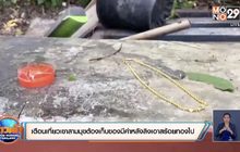 เตือนนักท่องเที่ยวเขาสามมุขเก็บของมีค่าหลังลิงเอาสร้อยทองไป