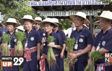 กฝผ. สืบสานพระราชปณิธานในหลวงรัชกาลที่ 9 จัดกิจกรรม “ปลูกวันแม่ เกี่ยววันพ่อ” ณ ศูนย์การเรียนรู้ศาสตร์พระราชา
