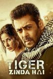 Tiger Zinda Hai กู้วิกฤติ นรก ทะเลทราย
