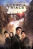 Maze Runner 2: The Scorch Trials สมรภูมิมอดไหม้