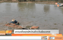 ชาวนาถือฤกษ์หว่านข้าววันพืชมงคล