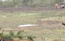 ผลกระทบภัยแล้งภาคอีสาน