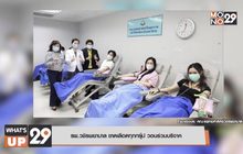 รพ.วชิรพยาบาล ขาดเลือดทุกกรุ๊ป วอนร่วมบริจาค