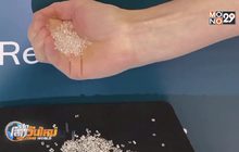 พลาสติกรักษ์โลกจากต้นไม้