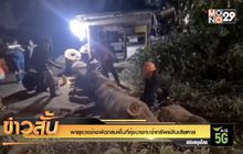 พายุงวงช้างพัดถล่มพื้นที่คุ้งบางกะเจ้าทรัพย์สินเสียหาย