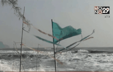 ผลกระทบจากคลื่นลมแรง