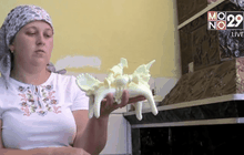 ชีสรูปม้า สินค้าเลื่องชื่อจากยูเครน