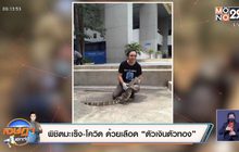 เจษฎาบอกต่อ พิชิตมะเร็ง-โควิด ด้วยเลือด “ตัวเงินตัวทอง”