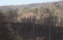 Motion News Break 1 (14-01-59)