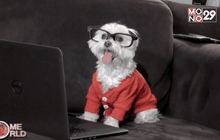 นานาสัตว์โลก ตอนที่ 2