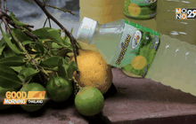 น้ำมะนาวน้ำหอม ของดีเมืองลพบุรี