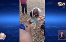 เด็ก 6 ขวบ จมน้ำหวิดดับ พลเมืองดีช่วยปั๊มหัวใจฟื้นปาฏิหาริย์