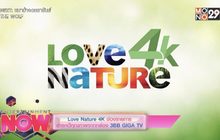 Love Nature 4K ช่องรายการสารคดีคุณภาพจากกล่อง 3BB GIGA TV
