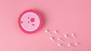 ไขข้อข้องกับ ICSI ต่างกันอย่างไร แบบเข้าใจง่ายใจ IVF