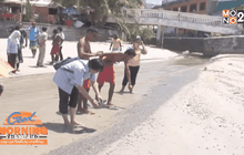 แตกตื่น!ซากสัตว์ทะเลนับแสน ตายเกลื่อนหาดดังภูเก็ต