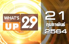 What’s up 29 21-02-64