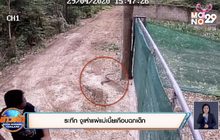 ระทึก งูเห่าแผ่แม่เบี้ยเกือบฉกเด็ก