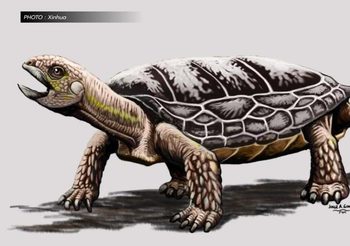 อาร์เจนตินาพบ ‘ฟอสซิลเต่าดึกดำบรรพ์’ อายุกว่า 200 ล้านปี
