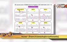 “หมอยง” ชี้ไทยพบโควิดสายพันธุ์อังกฤษที่กลายพันธุ์