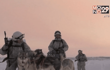 รัสเซียฝึกเคลื่อนพลด้วยกวาง-สุนัขลากเลื่อน