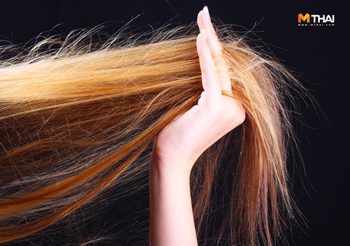 ทายนิสัย จาก เส้นผม สะท้อนนิสัยใจคอของคนๆ นั้น ได้ตรงทีเดียว