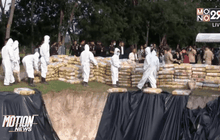 ทำลายเนื้อสัตว์สำเร็จรูปลักลอบนำเข้า