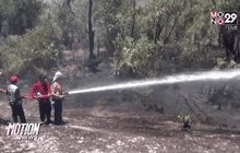เฝ้าระวังไฟไหม้ป่าพรุ จ.พังงา