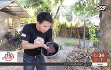 เจษฎาพาลุย : ท้าความกล้า “สปาไส้เดือน” หนึ่งเดียวในไทย จ.แพร่