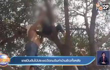 ยายปีนต้นไม้ประชดวัดถมดินทำบ้านร้าวทั้งหลัง