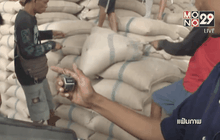 ไทยพลาดเป้าส่งออกข้าวที่ 10 ล้านตันปี 58