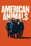 American Animals รวมกันปล้น อย่าให้ใครจับได้