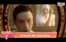 Farewell My Concubine