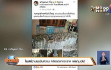 โพสต์ขายนมข้นหวาน 3 หมื่นกระป๋อง รถเทกระจาด ขาดทุนยับ!