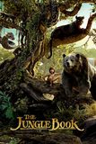 The Jungle Book เมาคลีลูกหมาป่า