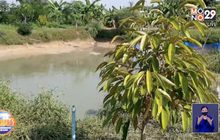 วิศวกรไฟฟ้า ผันตัวทำเกษตรอัจฉริยะ