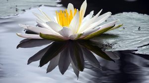 ปฏิทินวันพระ 2563 เดือนมิถุนายน