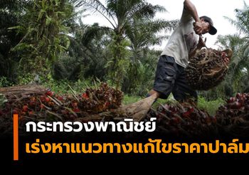 กระทรวงพาณิชย์ เร่งหาแนวทางแก้ไขปัญหาราคาปาล์มตกต่ำ