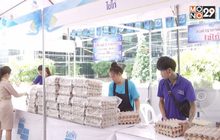 เร่งแก้ไข่ไก่ล้นตลาดวันละ 3 ล้านฟอง
