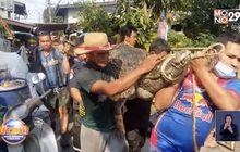 จับ”จระเข้” ยาว3เมตร โผล่นอนในชุมชนย่านบางปู