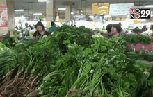 ผักแพงรับกินเจ บางชนิดสูงสุดในรอบหลายปี