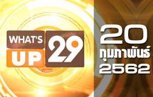 What’s up 29 20-02-62