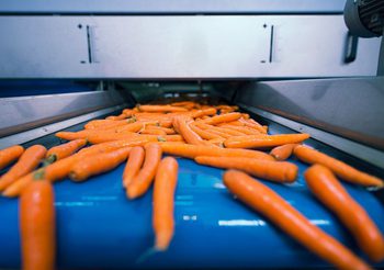 โรงงานต้องรู้ เลือกแบบไหนดีระหว่างสายพาน PVC กับสายพาน PU