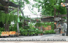 สำรวจตลาดไม้ดอกไม้ประดับรายย่อย