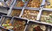 ไอเดียทำเงิน “ควิกโอชา” ข้าวแกงพรีเมียม ขายดีได้ราคาสูง