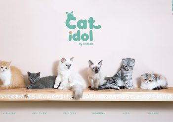 CGM48 เอาใจสายทาสแมว กับโปรเจกต์สุดเหมี๊ยว ‘CAT IDOL by CGM48’