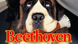 Beethoven บีโธเฟน ชื่อหมาแต่ไม่ใช่หมา ( ภาค 1 )